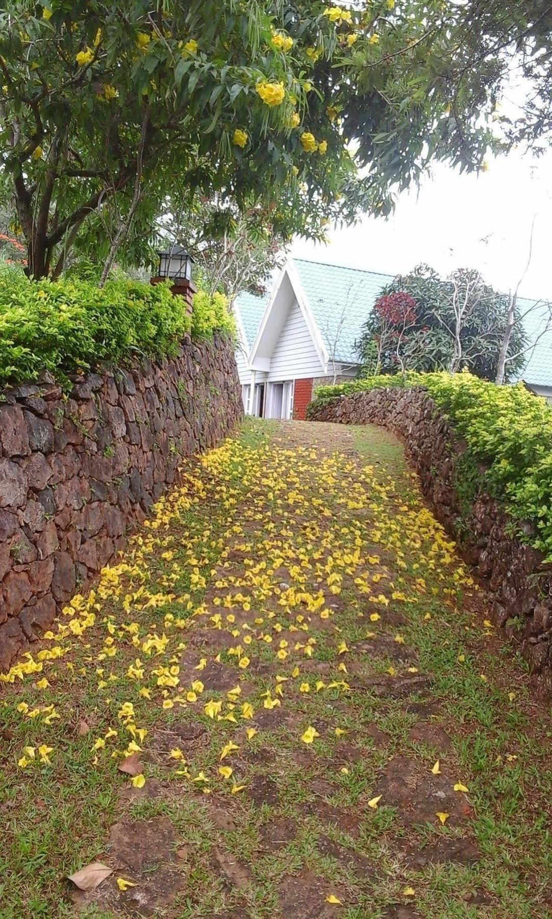 Hotel Ambady Estate Munnar Exterior foto